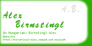 alex birnstingl business card